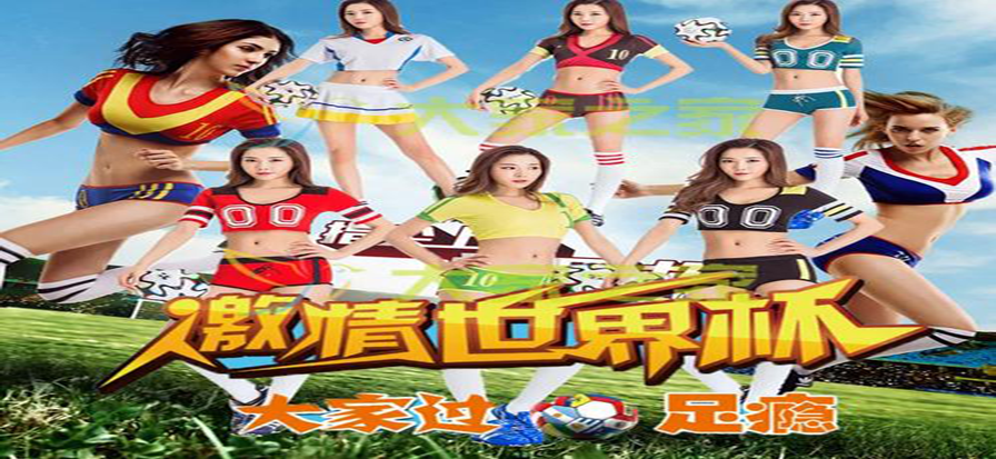 足球赛场